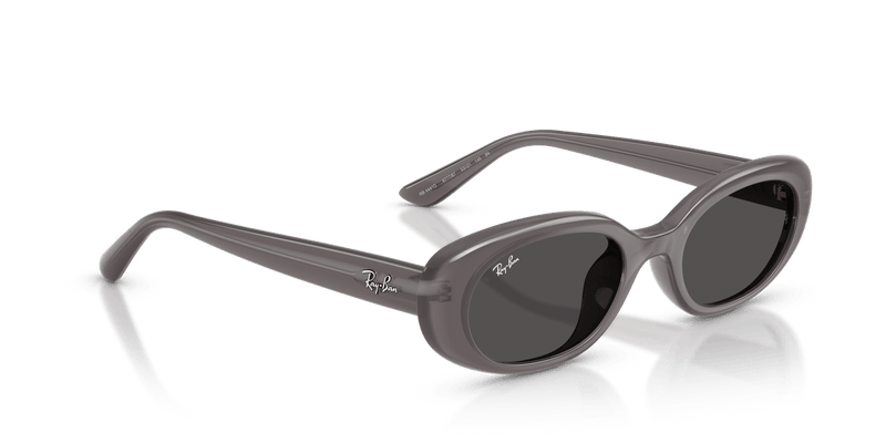 Ray-Ban RB4441D in Transparent Dark Grey - Alternate View
