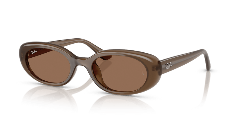 Ray-Ban RB4441D in Opal Brown / Dark Brown - Alternate View