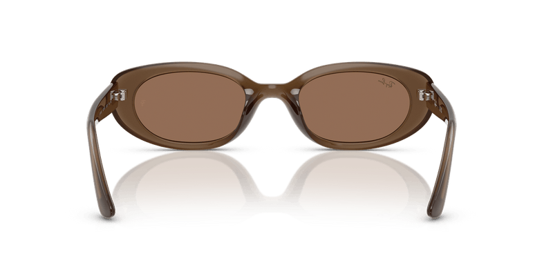 Ray-Ban RB4441D in Opal Brown / Dark Brown - Alternate View