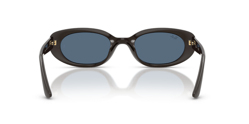 Ray-Ban RB4441D in Full Dark Brown / Dark Blue - Back View