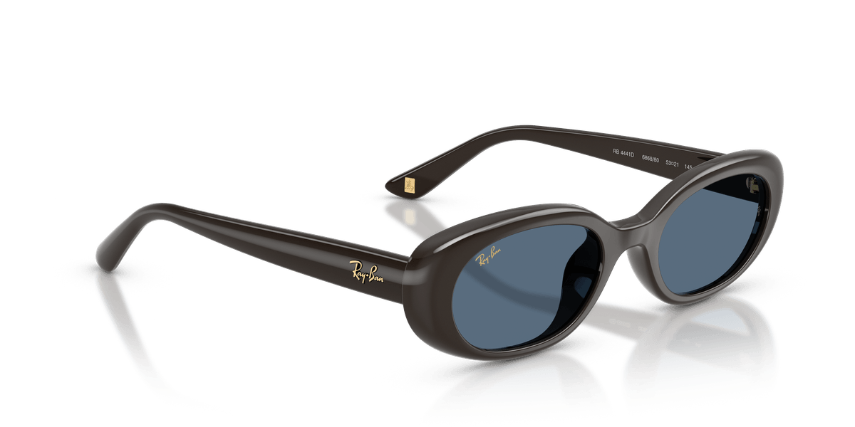 Ray-Ban RB4441D