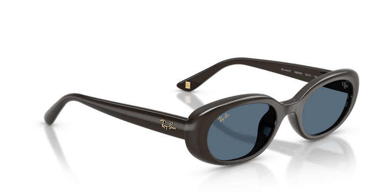 Ray-Ban RB4441D in Full Dark Brown / Dark Blue - Temple Detail