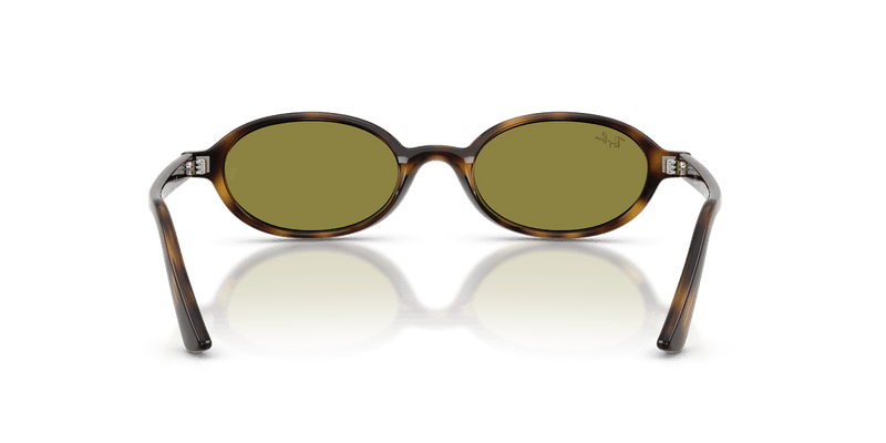 Ray-Ban RB4472 in Havana / Green - Back View