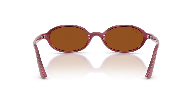 Ray-Ban RB4472 in Violet Havana / Dark Brown - Alternate View