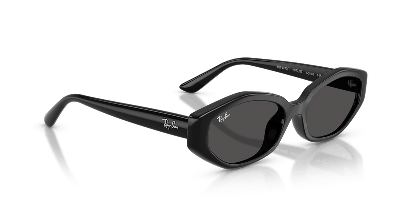 Ray-Ban RB4473D in Black / Dark Grey - Temple Detail