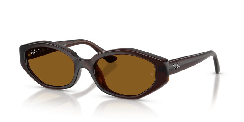 Ray-Ban RB4473D in Dark Brown / Dark Brown Polarized - Alternate View