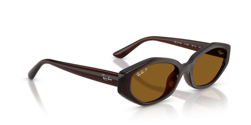Ray-Ban RB4473D in Dark Brown / Dark Brown Polarized - Alternate View