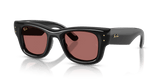 Black / Dark Violet