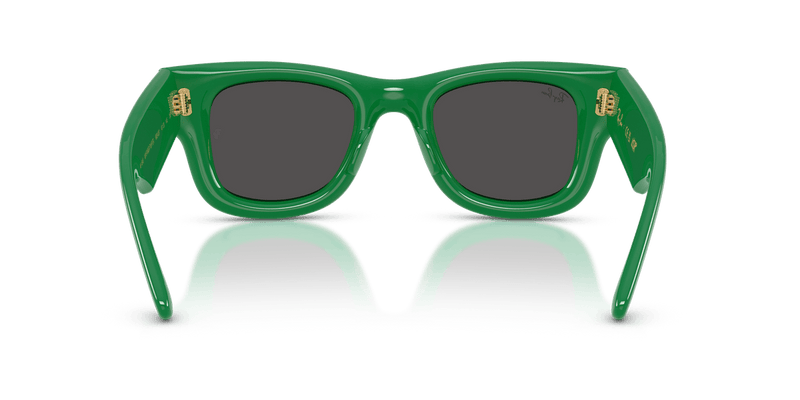 Ray-Ban WAYFARER PUFFER RB4940 in Green / Ultra Black - Alternate View