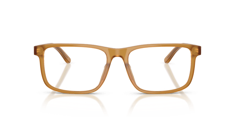 Ralph Lauren RL6225U in Opal Honey (5275) - Back View