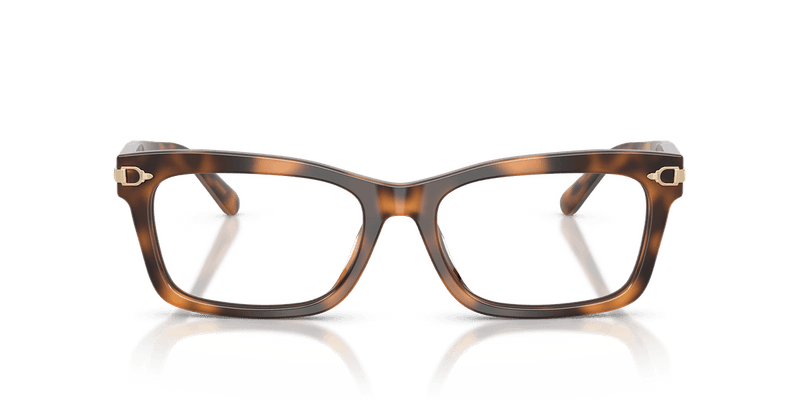 Ralph Lauren RL6255U in Havana (6089) - Back View