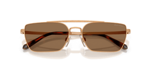 Shiny Antique Gold / Light Brown (915373)
