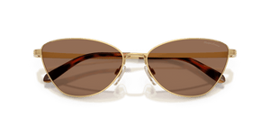 Shiny Gold / Brown (900473)