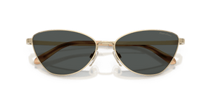 Shiny Pale Gold / Grey (911687)