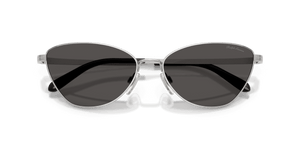 Shiny Silver / Dark Grey (900187)