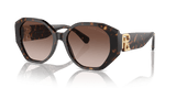 Dark Havana / Brown Gradient (500313)