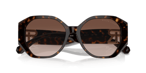 Dark Havana / Brown Gradient (500313)