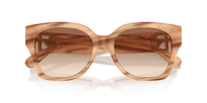 Oystershell Brown / Gradient Brown (617913)