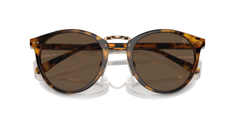 Ralph Lauren THE QUINCY RL8223 in Antique Havana / Brown (513453) - Alternate View