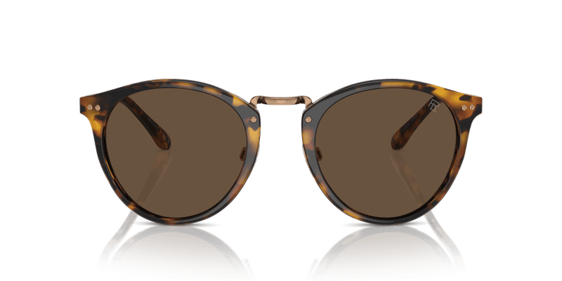 Ralph Lauren THE QUINCY RL8223 in Antique Havana / Brown (513453) - Alternate View