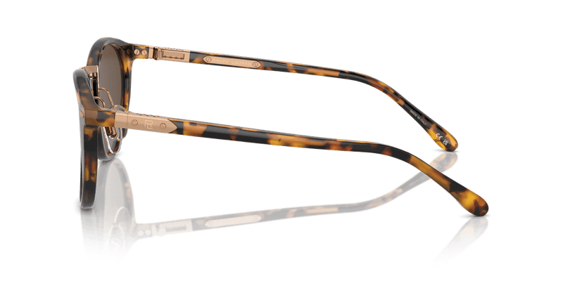 Ralph Lauren THE QUINCY RL8223 in Antique Havana / Brown (513453) - Alternate View