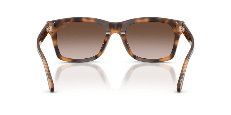 Ralph Lauren RL8237U in Havana / Gradient Brown (608913) - Alternate View