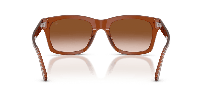 Ralph Lauren RL8237U in Opal Brown Bio / Gradient Brown (630613) - Alternate View