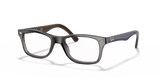 Grey / Clear (5546)
