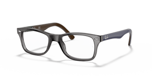 Grey / Clear (5546)