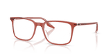 Brown Transparent / Clear