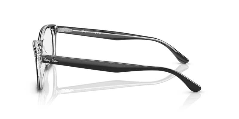 Ray-Ban RX5428 in Black On Transparent / Clear - Alternate View