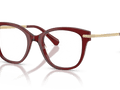 Transparent Burgundy (1073)