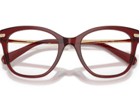 Transparent Burgundy (1073)