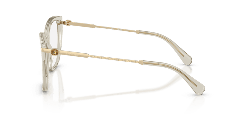 Swarovski SK2060 in Beige (3003) - Alternate View