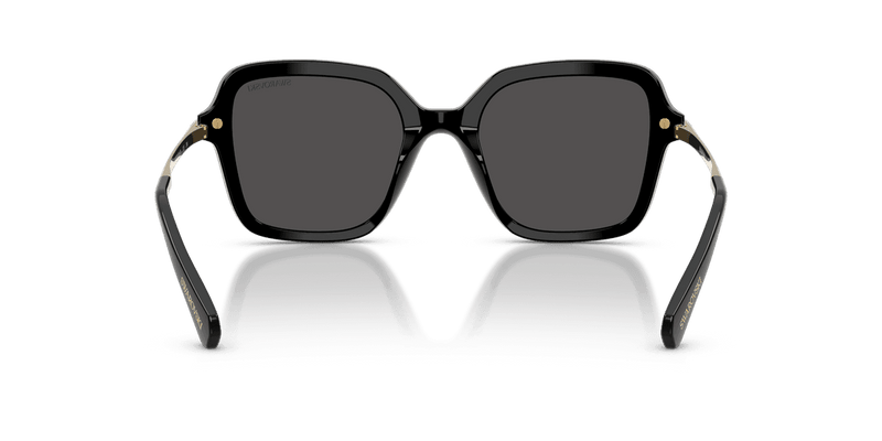 Swarovski SK6040 in Black / Dark Grey (100187) - Alternate View
