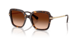 Havana / Gradient Brown (100274)
