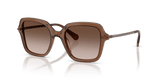 Transparent Brown / Brown Gradient (106713)