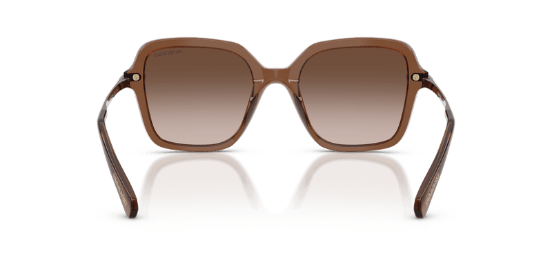 Swarovski SK6040 in Transparent Brown / Brown Gradient (106713) - Alternate View