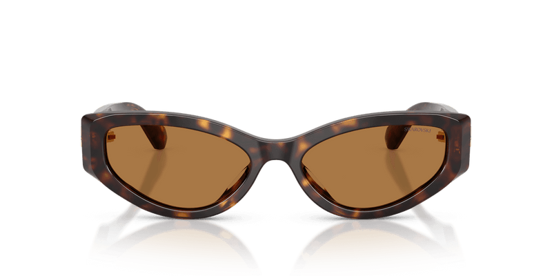 Swarovski SK6045U in Havana / Bronze (100273) - Alternate View