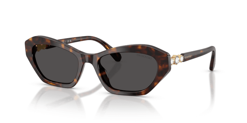 Swarovski SK6048 in Havana / Dark Grey (100287) - Front View