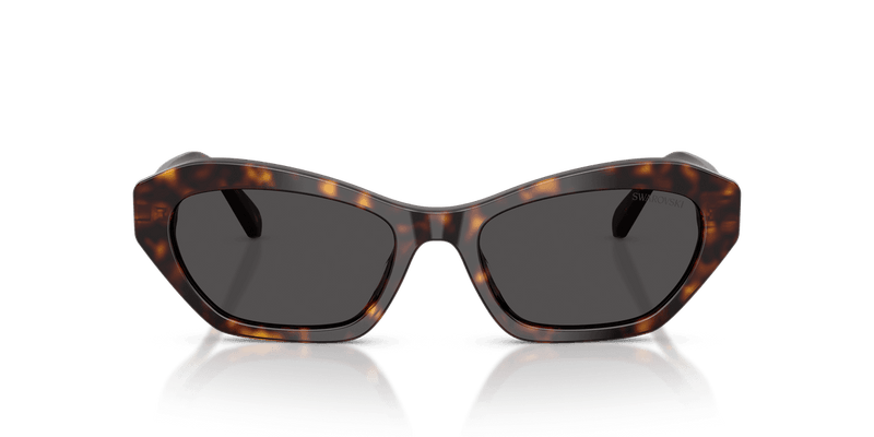 Swarovski SK6048 in Havana / Dark Grey (100287) - Back View