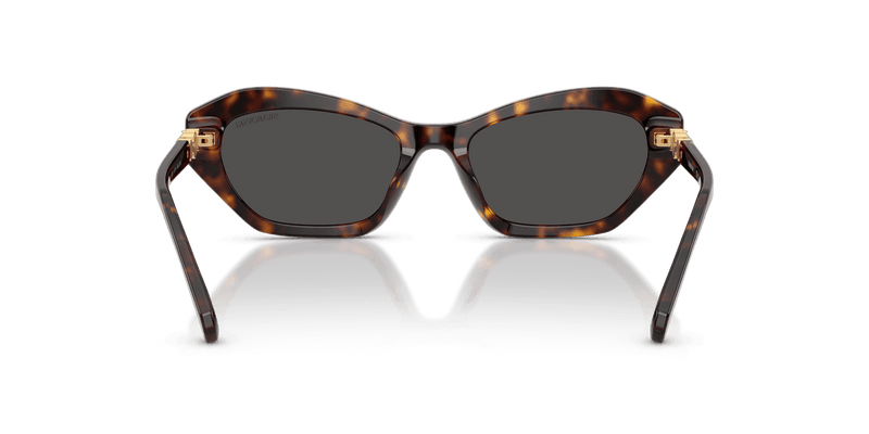 Swarovski SK6048 in Havana / Dark Grey (100287) - Alternate View
