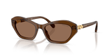 Transparent Brown / Dark Brown (108473)