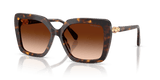 Havana / Gradient Brown (100274)