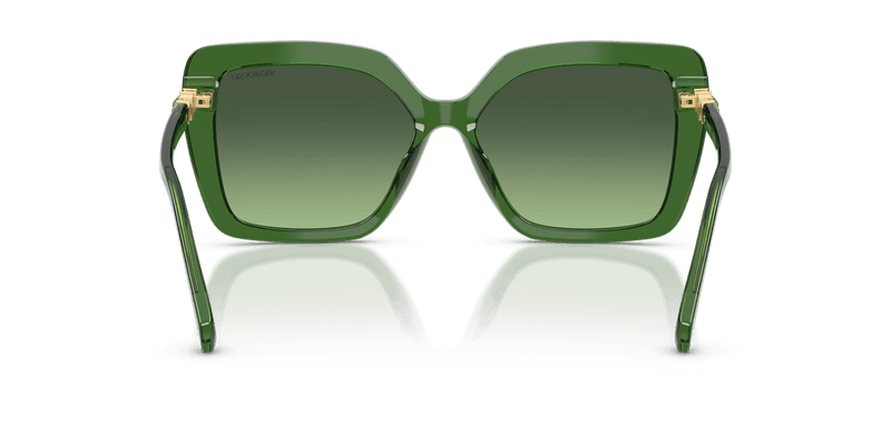 Swarovski SK6049 in Milky Green / Gradient Green (10812A) - Alternate View