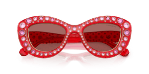 Transparent Red / Dark Violet (110369)
