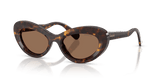 Havana / Dark Brown (100273)