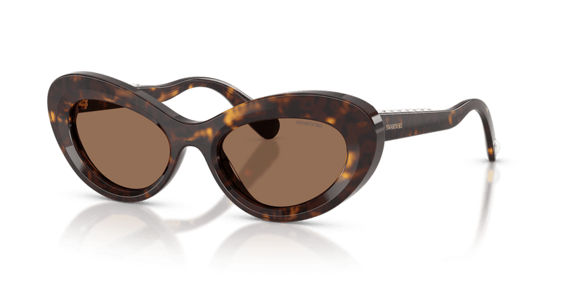 Swarovski SK6061U in Havana / Dark Brown (100273) - Alternate View