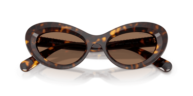 Swarovski SK6061U in Havana / Dark Brown (100273) - Alternate View