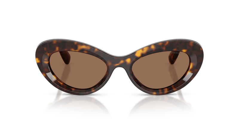 Swarovski SK6061U in Havana / Dark Brown (100273) - Alternate View